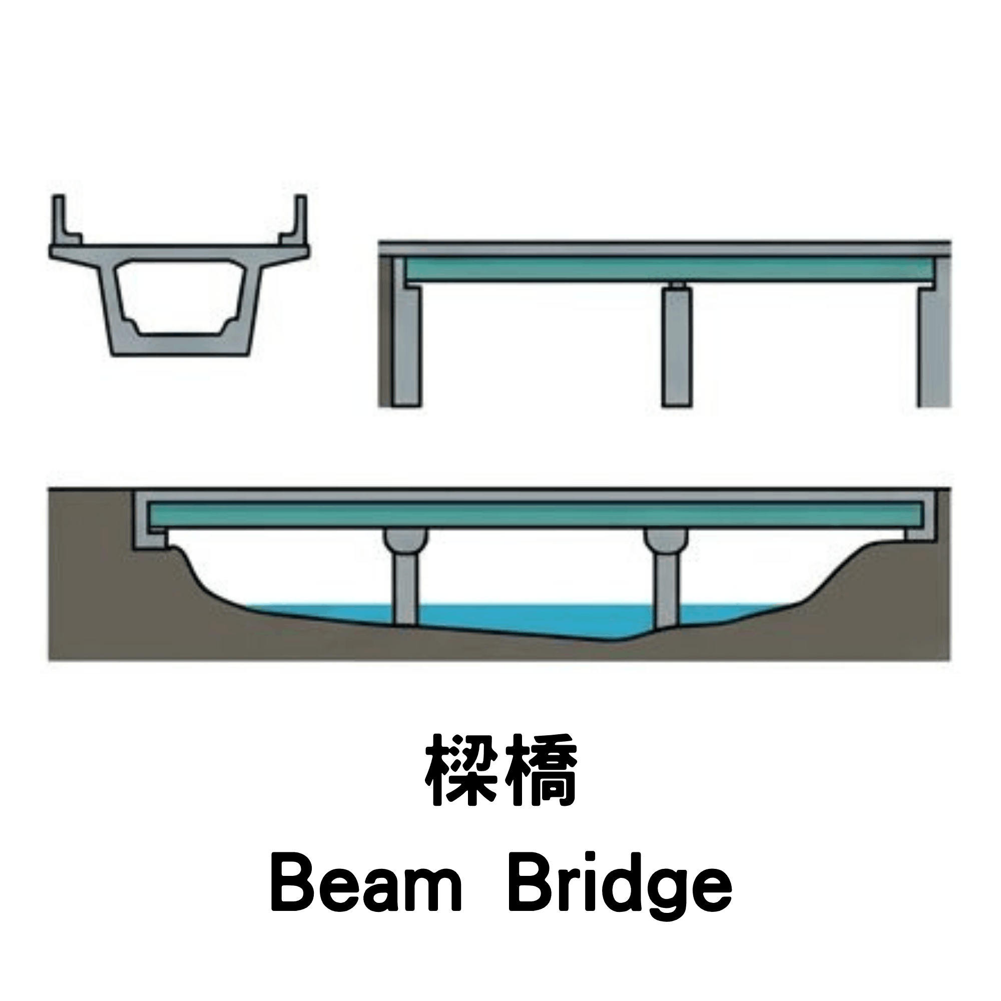 Bridge Option
