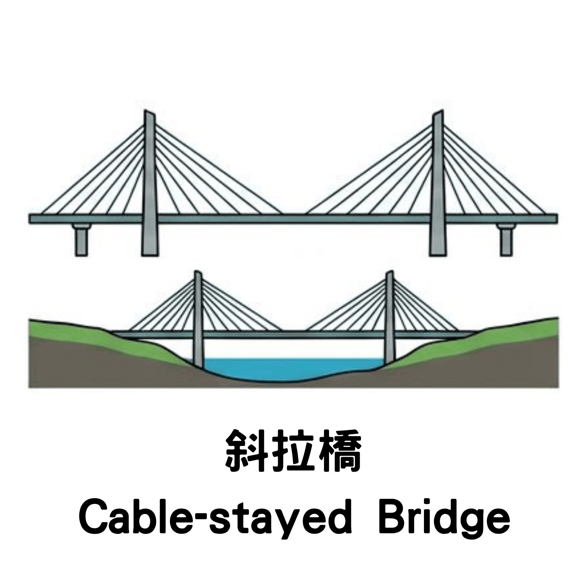Bridge Option
